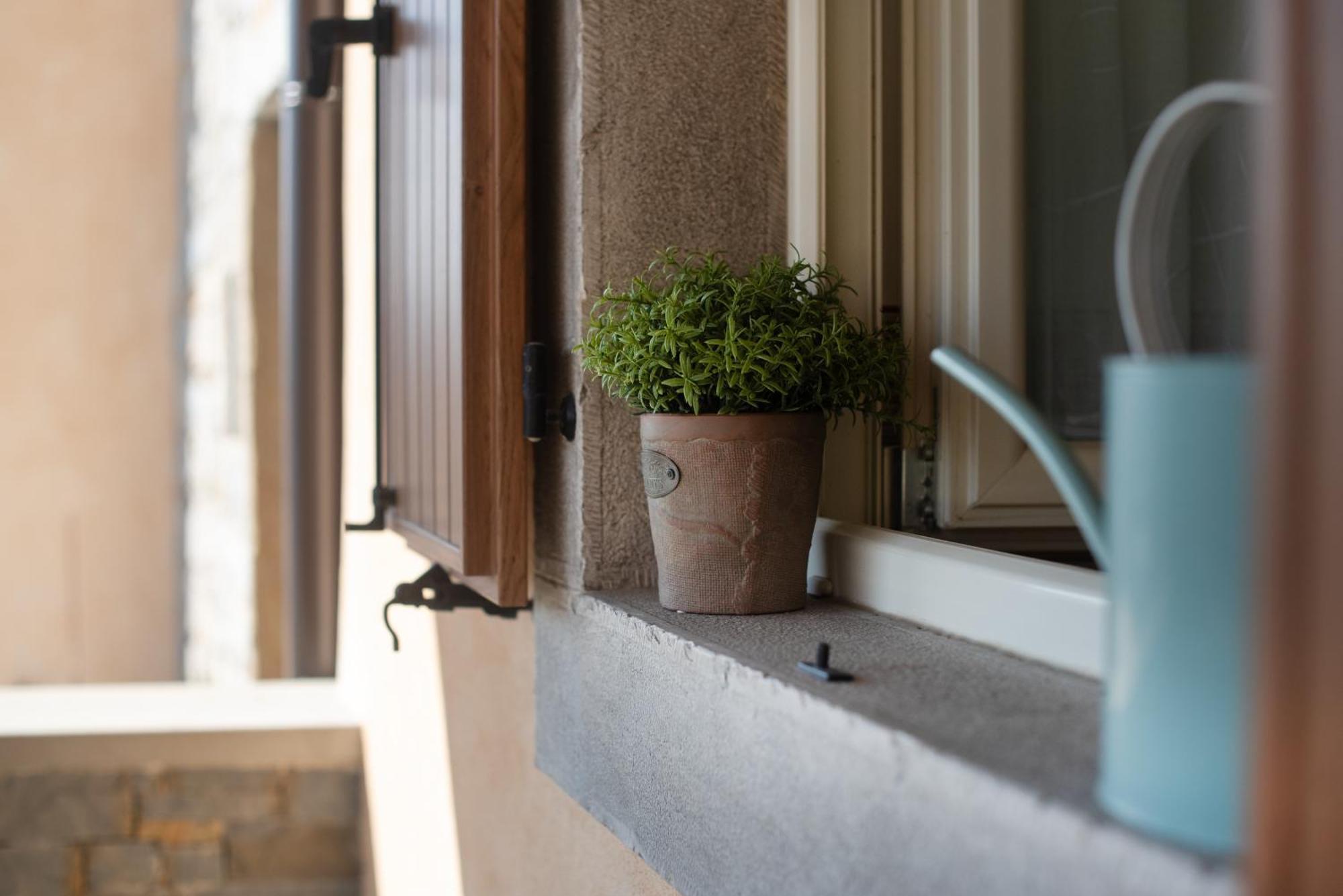 Truffle House Karlic Appartement Buzet Buitenkant foto